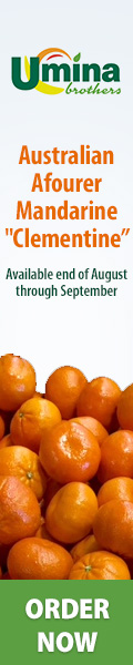 Australian Afourer Mandarine 'Clementine' Australian Afourer Mandarine 'Clementine'