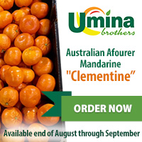 Australian Afourer Mandarine 'Clementine' Australian Afourer Mandarine 'Clementine'