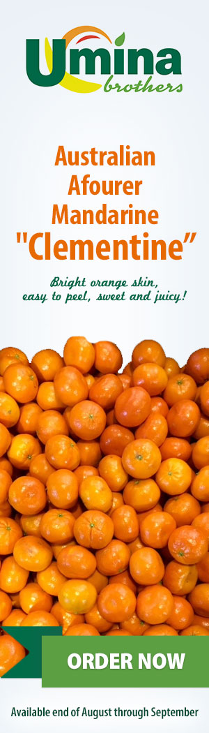 Australian Afourer Mandarine 'Clementine' Australian Afourer Mandarine 'Clementine'