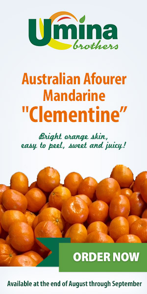 Australian Afourer Mandarine 'Clementine' Australian Afourer Mandarine 'Clementine'