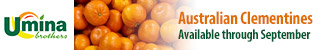 Australian Afourer Mandarine 'Clementine' Australian Afourer Mandarine 'Clementine'