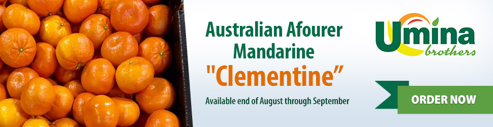 Australian Afourer Mandarine 'Clementine' Australian Afourer Mandarine 'Clementine'