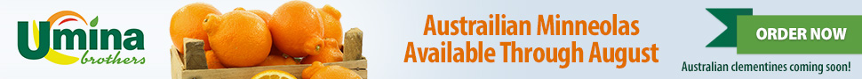 Australian Afourer Mandarine 'Clementine' Australian Afourer Mandarine 'Clementine'