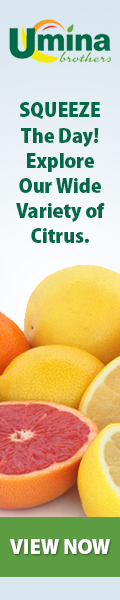 SQUEEZE The Day! Explore Our Wide Variety of Citrus. SQUEEZE The Day! Explore Our Wide Variety of Citrus.