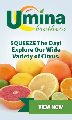 SQUEEZE The Day! Explore Our Wide Variety of Citrus. SQUEEZE The Day! Explore Our Wide Variety of Citrus.