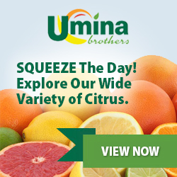 SQUEEZE The Day! Explore Our Wide Variety of Citrus. SQUEEZE The Day! Explore Our Wide Variety of Citrus.