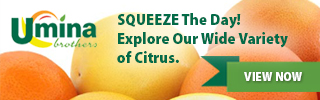 SQUEEZE The Day! Explore Our Wide Variety of Citrus. SQUEEZE The Day! Explore Our Wide Variety of Citrus.