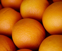 australian citrus