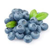 Organic Blueberries