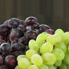 Chilean Grapes