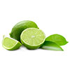 Limes