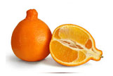 Minneola Tangelos