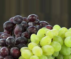 Red and Green Large Grapes