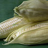 White Corn