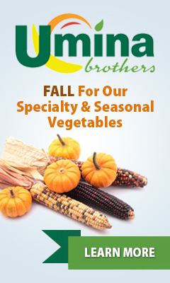 FALL For Our Specialty & Seasonal Vegetables FALL For Our Specialty & Seasonal Vegetables