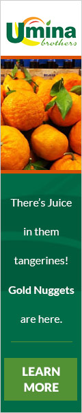Gold Nugget Tangerines Gold Nugget Tangerines
