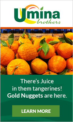 Gold Nugget Tangerines Gold Nugget Tangerines