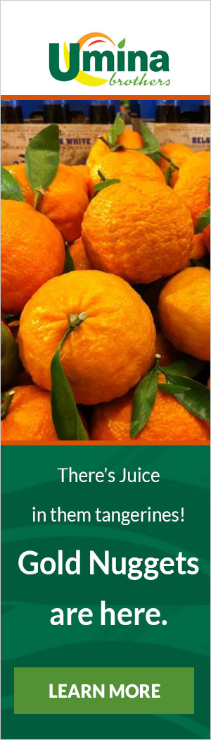 Gold Nugget Tangerines Gold Nugget Tangerines