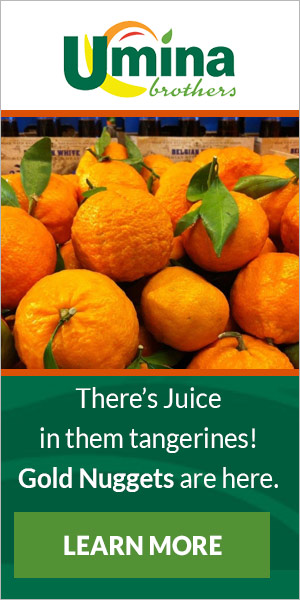 Gold Nugget Tangerines Gold Nugget Tangerines