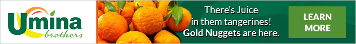 Gold Nugget Tangerines Gold Nugget Tangerines