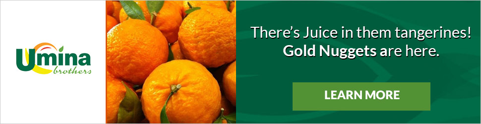Gold Nugget Tangerines Gold Nugget Tangerines