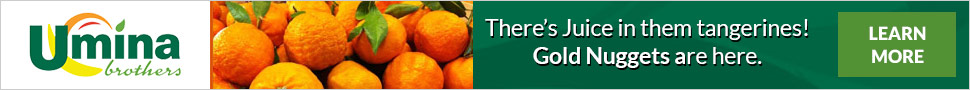 Gold Nugget Tangerines Gold Nugget Tangerines