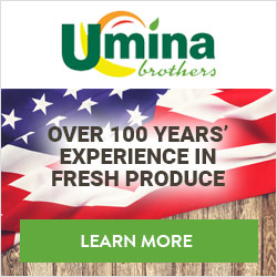 Over 100 Years' Experience in Fresh Produce Over 100 Years' Experience in Fresh Produce