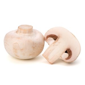 champignon mushroom