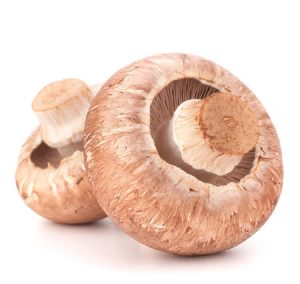 brown champignon mushroom