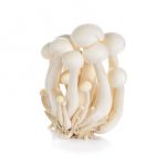 White Beech Mushrooms