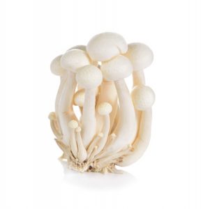 Shimeji Mushrooms