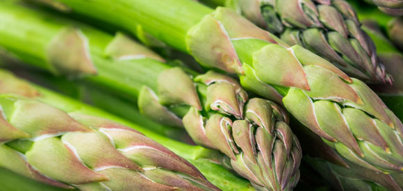 Asparagus