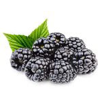 Blackberries