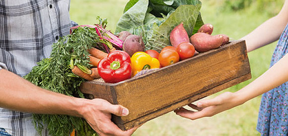 Farmer giving box of vegetables to a customer on a sunny day