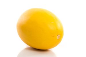 Honeydew Melon