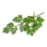 Italian Parsley