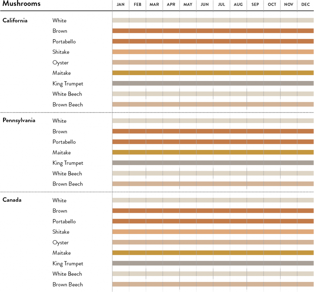 Mushrooms calendar