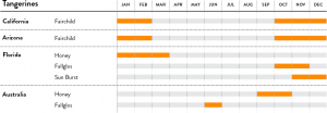 Tangerines Seasonal Calendar