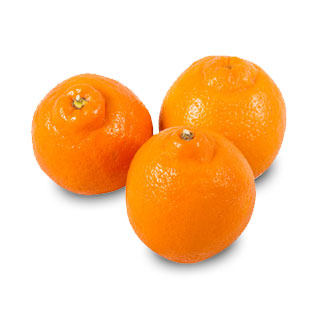 Minneola Tangelos