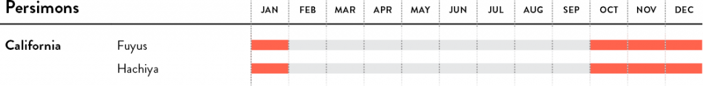 Persimons calendar