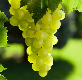 Grapes