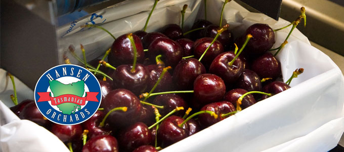 Tasmanian Cherries