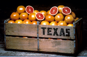 Texas Red Grapefruit