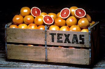 Texas Red Grapefruit