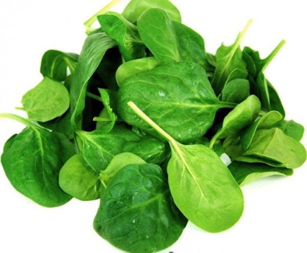 Organic Baby Spinach