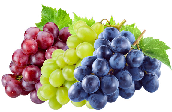 Red, Green and Black Grapes