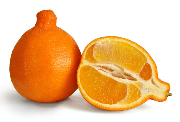 Australian Navel Oranges