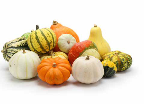 Pumpkins and Gourds