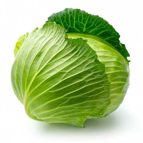 Green Cabbage