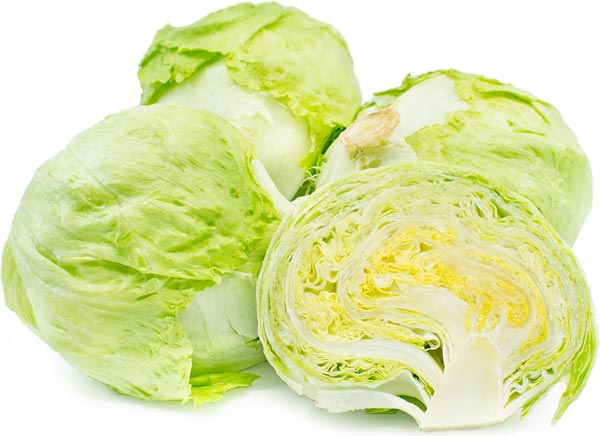 Iceberg Lettuce